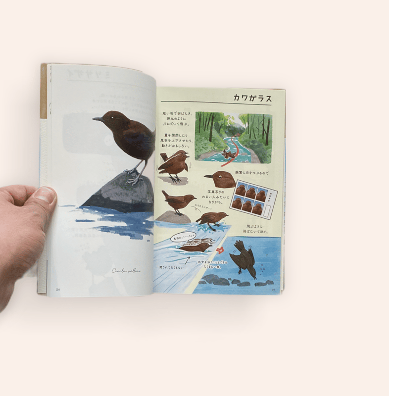 なつのやまのとり | BOOKNERD