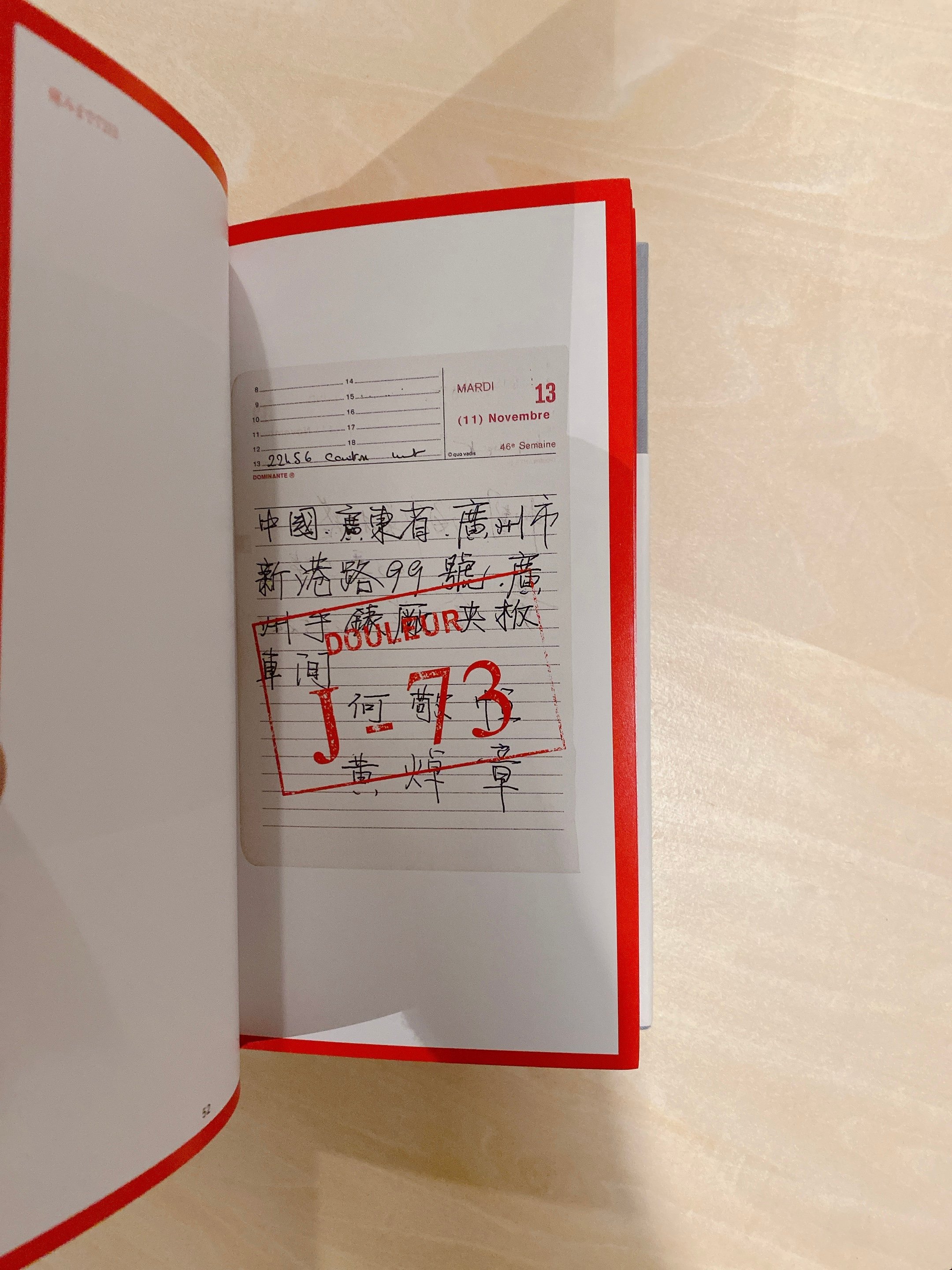 限局性激痛 | BOOKNERD