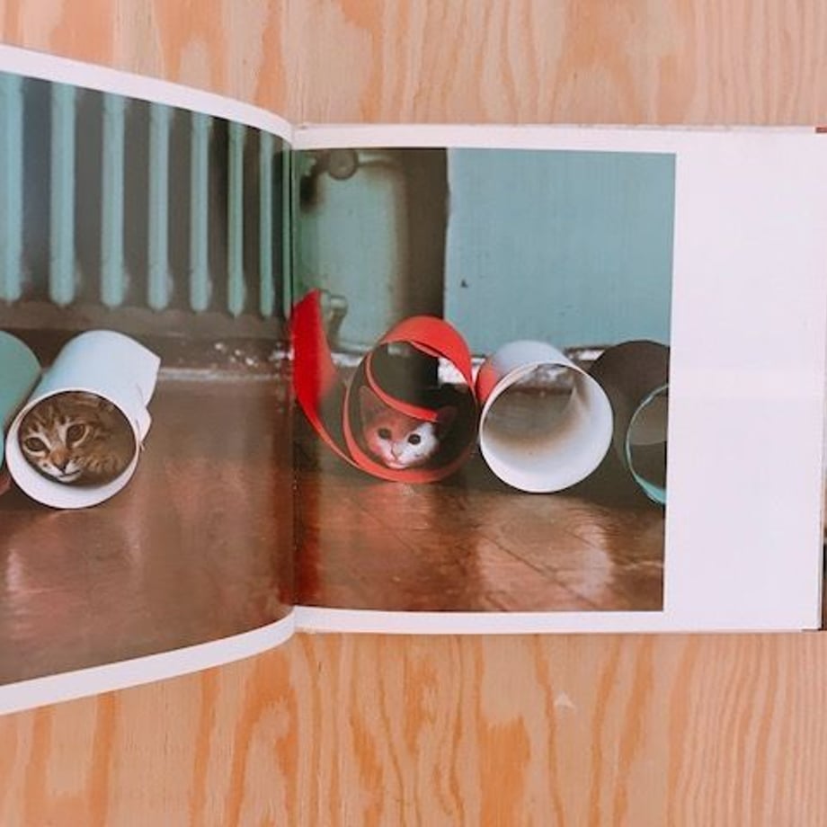 5a55b4bc428f2d5d3d000462