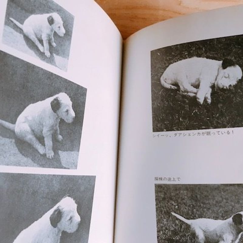 ダアシェンカ カレル・チャペック | BOOKNERD