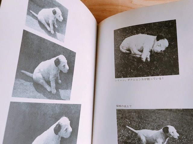 ダアシェンカ カレル・チャペック | BOOKNERD
