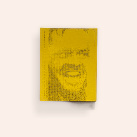 THE SHINING: A VISUAL AND CULTURAL HAUNTING