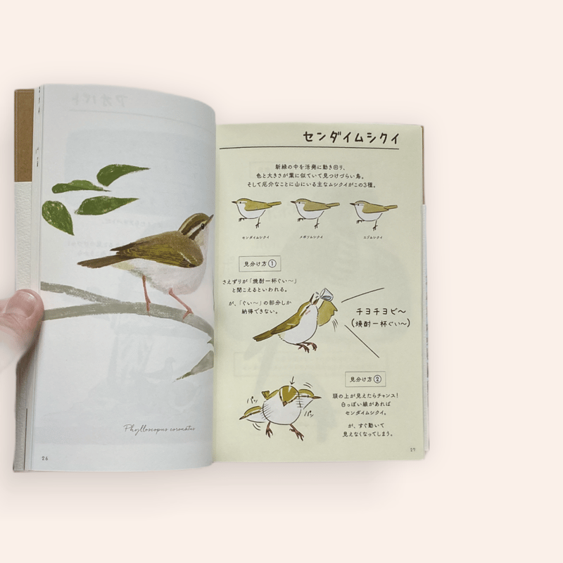 なつのやまのとり | BOOKNERD