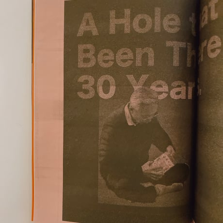 雑想DIY実践思想録1 雑想 ZASSO (maga)zine 1 ホームセンターから茅葺きまで “雑草”側によるDIY実践思想録