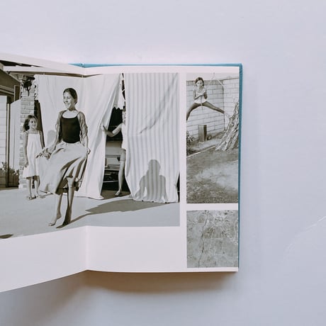 CONTEMPORARY SUBURBIUM by Ed & Deanna Templeton