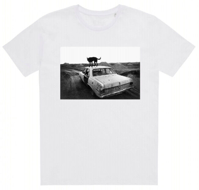 その他 LD WIM WENDERS KOLLEKTION vol.1 m0o93748 Amazon.co.jp | Wim Wenders Collection [Blu-ray] DVD・ブルーレイ