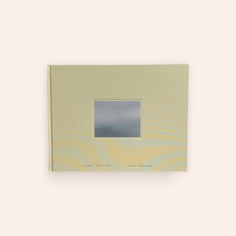 A BIRD Blast #130 | BOOKNERD