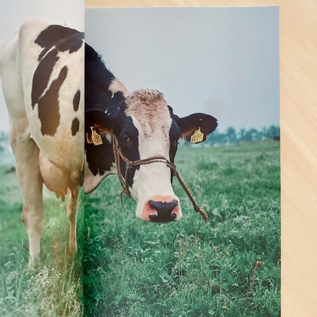 The Dairy Farm 　〜a day〜