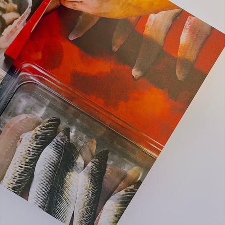 Osteria 16 Cookbook