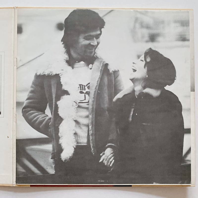 レコード)ラブ LOVE / 順之とエミの世界 | BOOKNERD