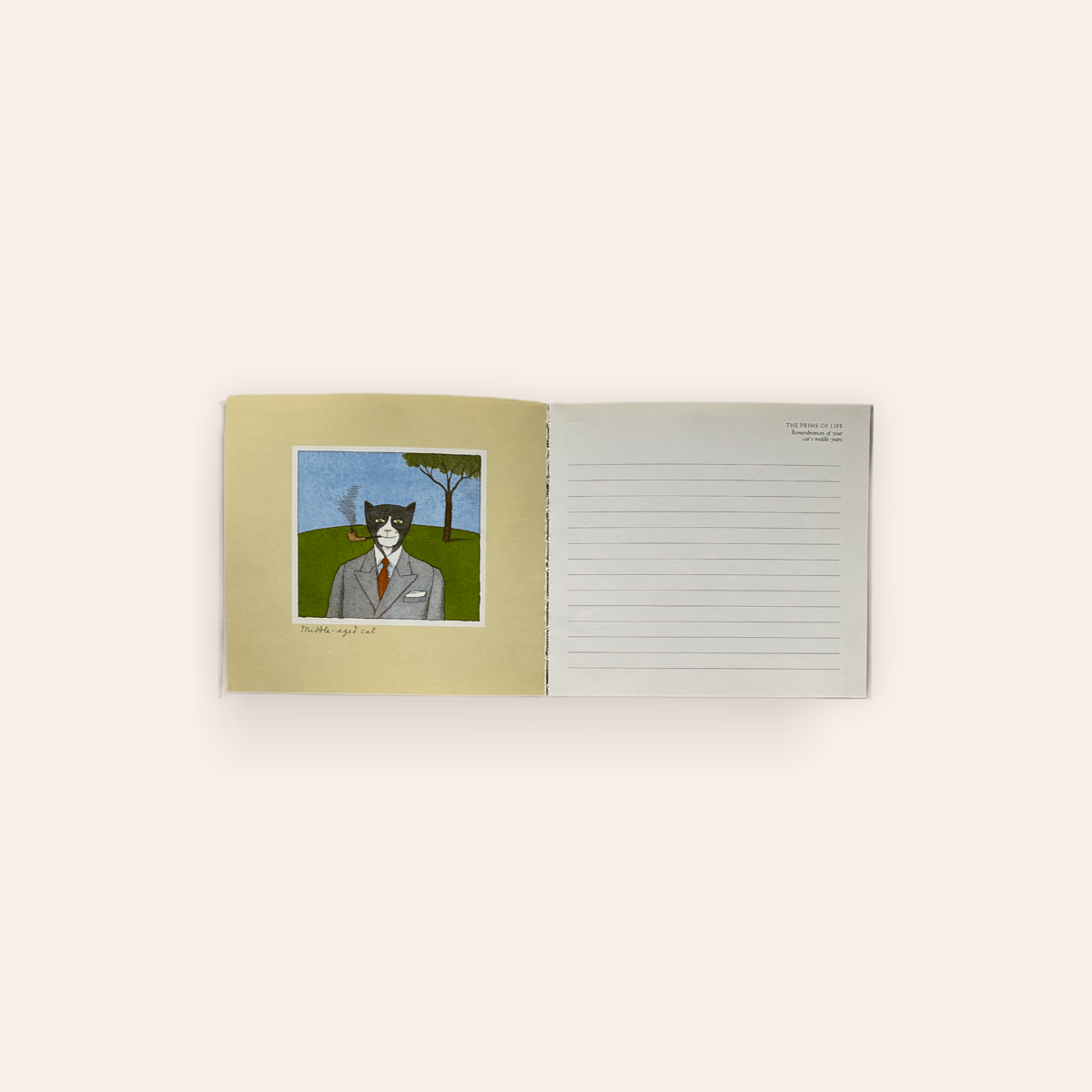 洋書  CATS life 洋書 CATS life