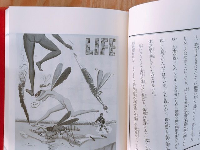 金子國義　挿画本オルペウスより　「詩人の首」 高橋睦郎・金子國義 詩人の食卓 | BOOKNERD