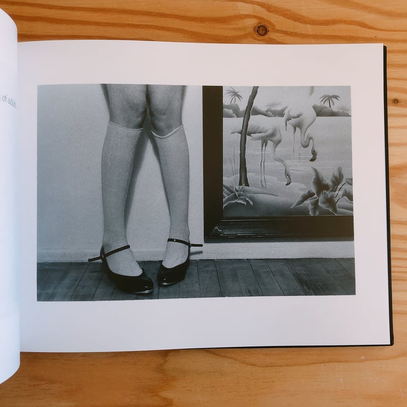 【レア　稀少】RE-VISIONS Marcia Resnick写真集 RE-VISIONS by Marcia Resnick – twelvebooks