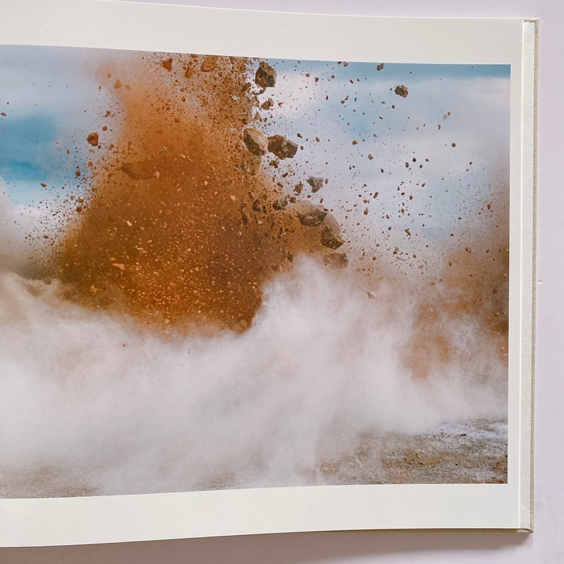 畠山直哉写真集『Ａ ＢＩＲＤ ＢＬＡＳＴ＃１３０』ｒｏｓｈｉｎｂｏｏｋｓ A BIRD Blast #130 | BOOKNERD