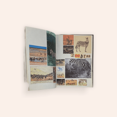 Animal Books for Jaap, Zeno, Anna, Julian & Luca(Reprint)
