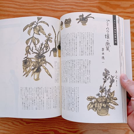 わたしの博物誌