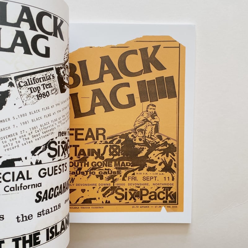 RAYMOND PETTIBON FLYERS 2 | BOOKNERD