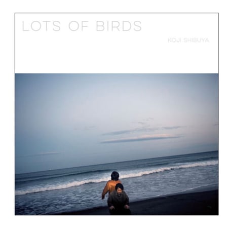 《ご予約商品／6月25日(金)発送予定》LOTS OF BIRDS(LP)