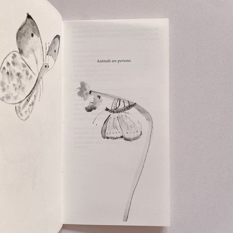 The Ordinary Society for Kindness to All Animals in The Art World - a manifesto