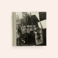 STRANGER IN POLAROID | BOOKNERD