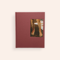 DIGITAL NUDES by David Lynch | BOOKNERD