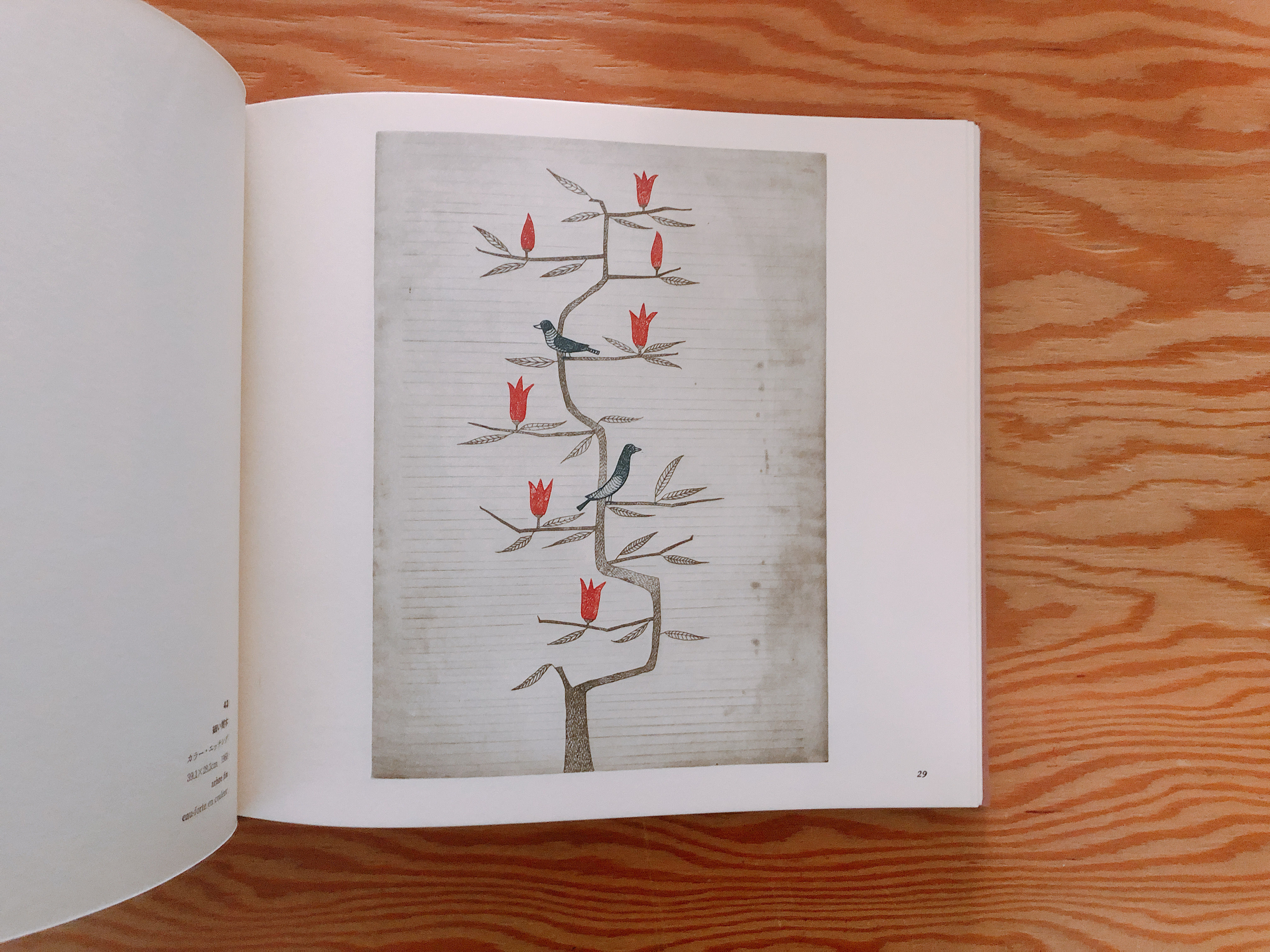 南桂子の世界　空・鳥・水　版画　エッチング 南桂子の世界 空・鳥・水・・・ | BOOKNERD