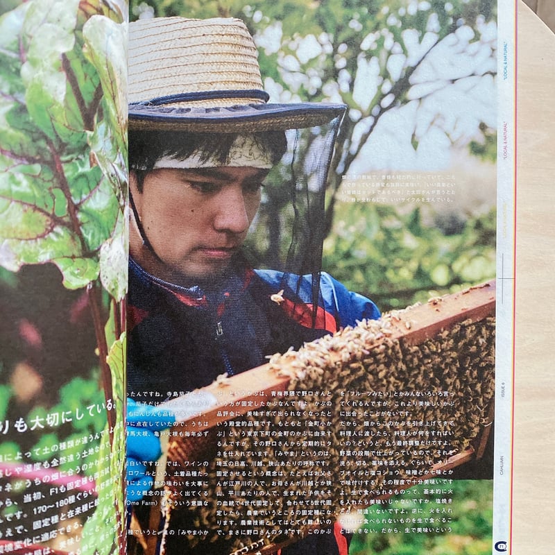 CAHLUMN 6 | BOOKNERD