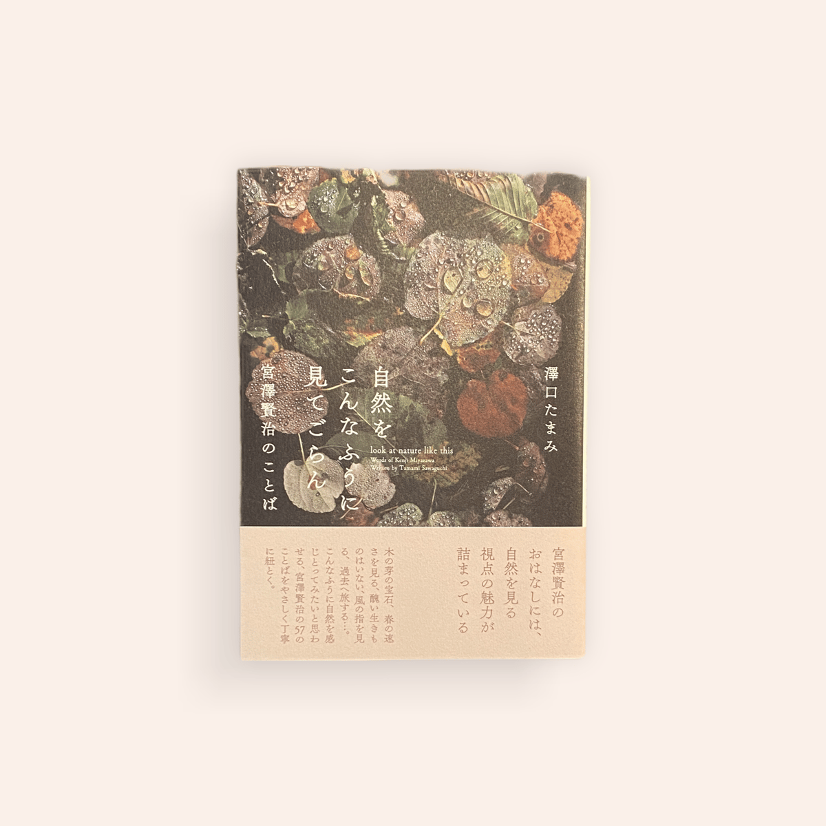 自然をこんなふうに見てごらん 宮沢賢治のことば | BOOKNERD