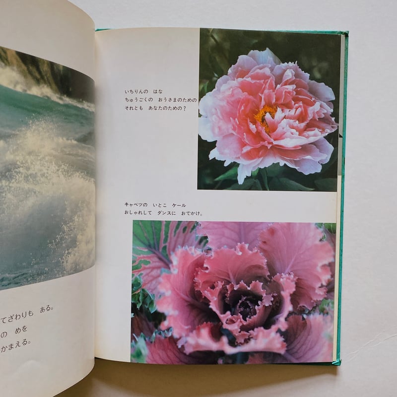 さわってみる | BOOKNERD