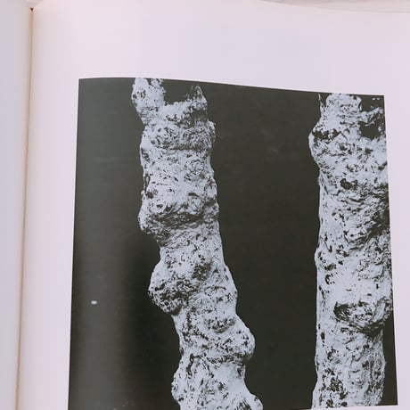PLACES    AARON SISKIND PHOTOGRAPHS