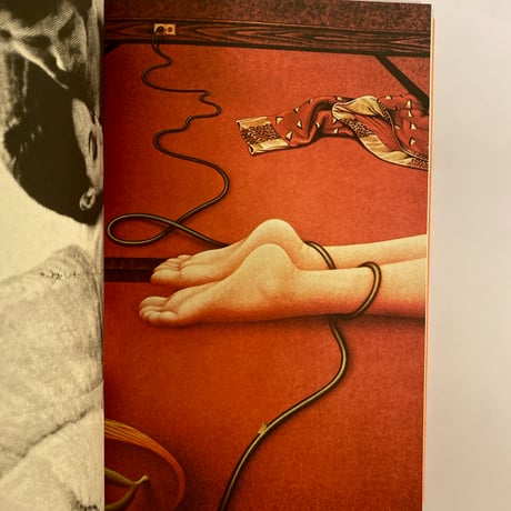 The Radical Media Archive vol.1/7
