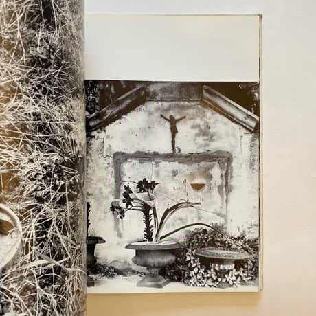 Poesie der Photographie