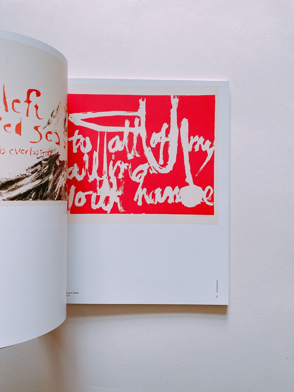 Come Alive!: The Spirited Art of Sister Corita