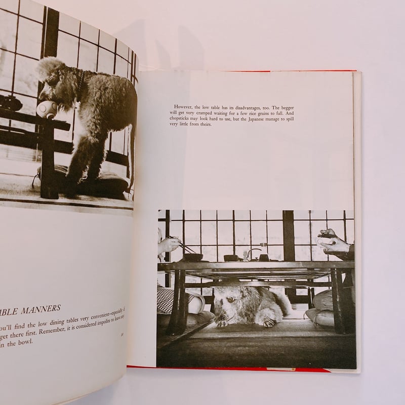 A DOG'S GUIDE TO TOKYO | BOOKNERD