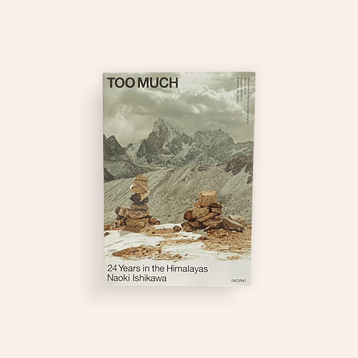 TOO MUCH Magazine Work 3 — Naoki Ishikawa 