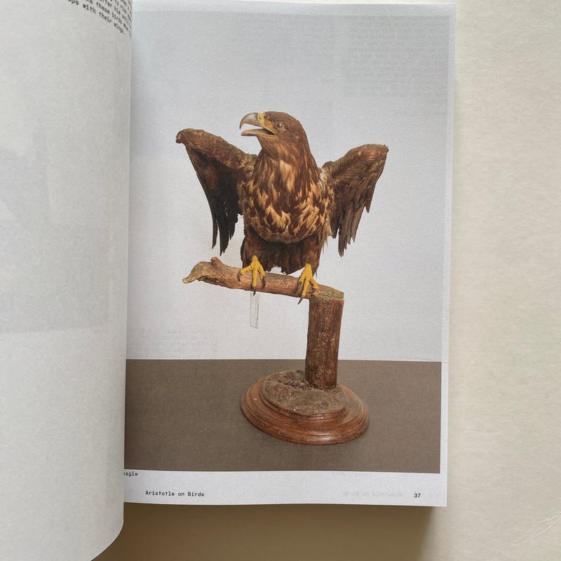 Ornithology / Anne Geene,Arjan De Nooy | BOOKNERD