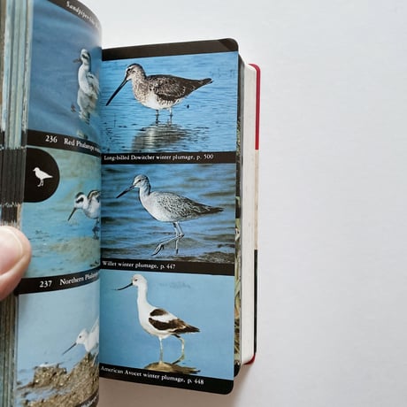 The Audubon Society Field Guide to North American Birds