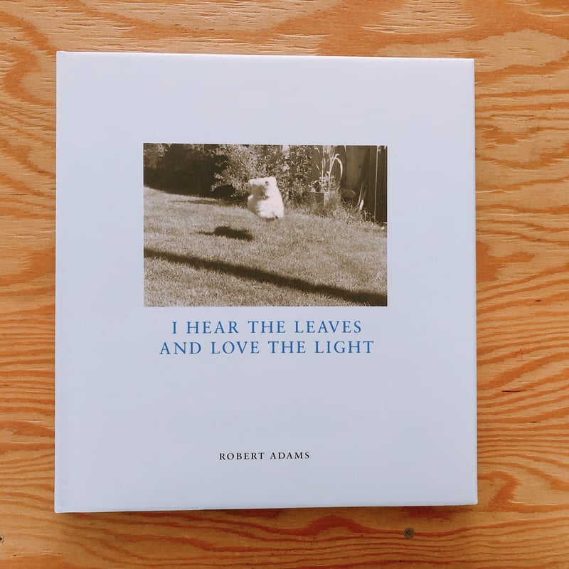ROBERT ADAMS HEAR THE LEAVES AND LOVE THE LIG