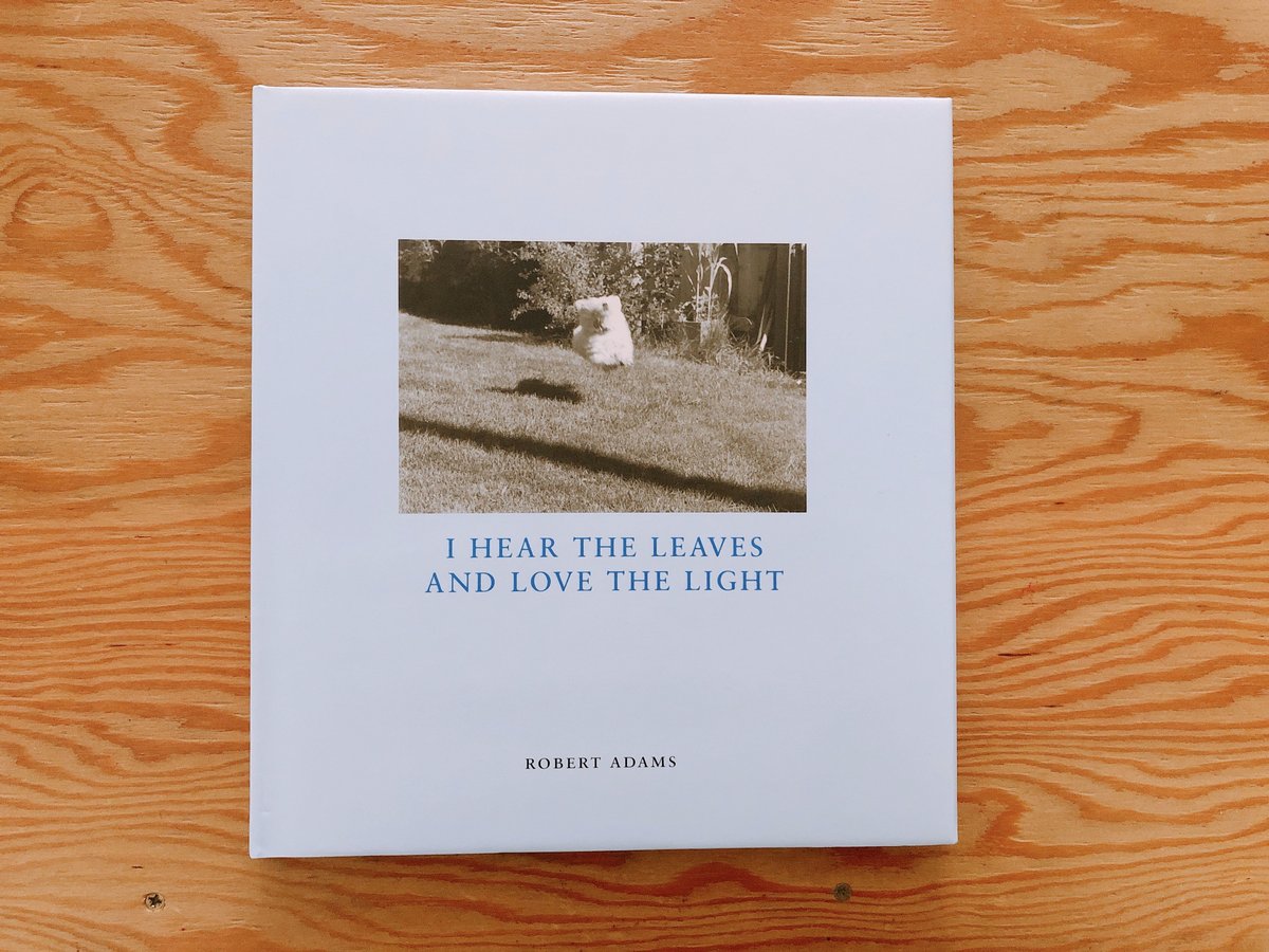 ROBERT ADAMS HEAR THE LEAVES AND LOVE THE LIG