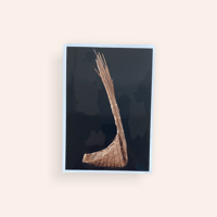 まなざしを結ぶ工芸 fit=scale-down,w=1200