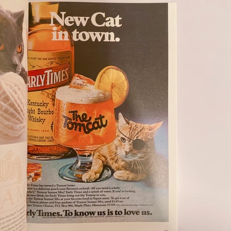 More Than Cat Food