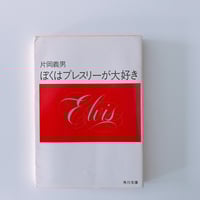和田誠 篠山紀信 プライヴェート・ニューヨーク | BOOKNERD