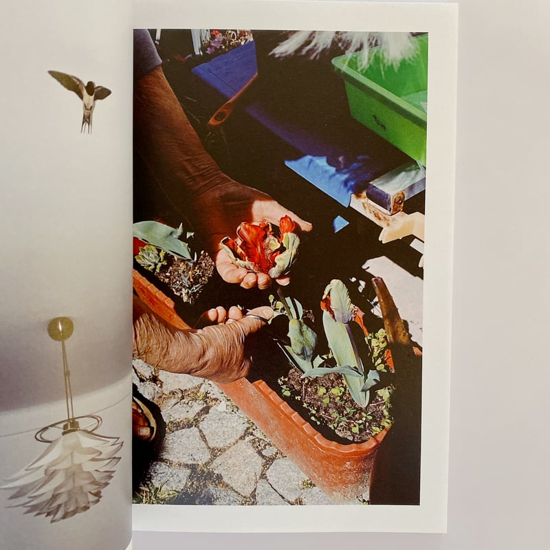 MIDDAY MOON | BOOKNERD