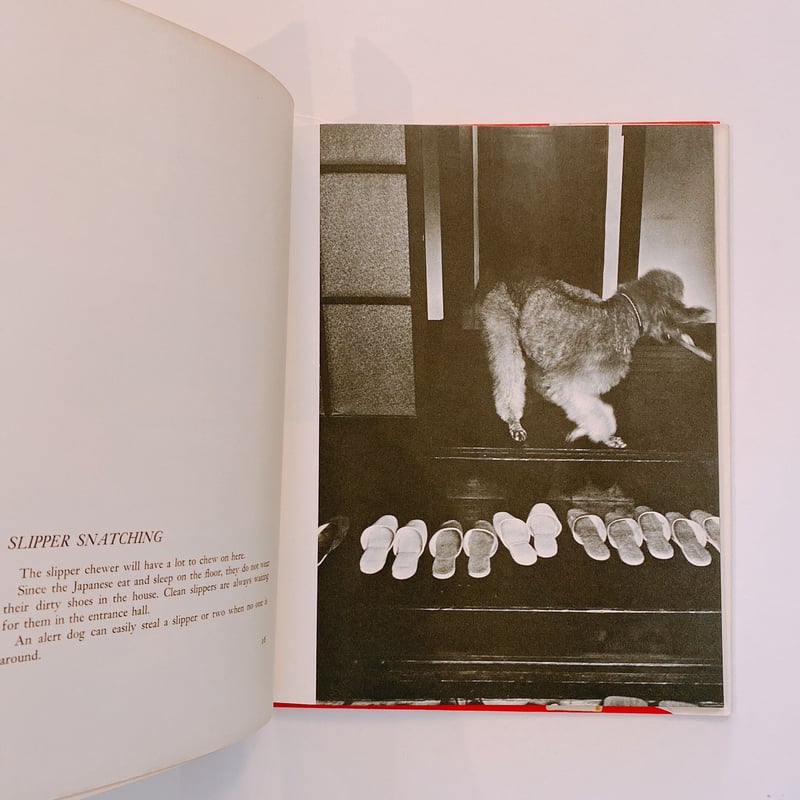 A DOG'S GUIDE TO TOKYO | BOOKNERD