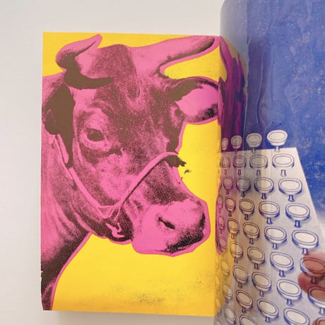 Kunst der sechziger Jahre 5.erweiterte Au/Art of the Sixties 5th revised edition