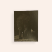 STRANGER IN POLAROID | BOOKNERD