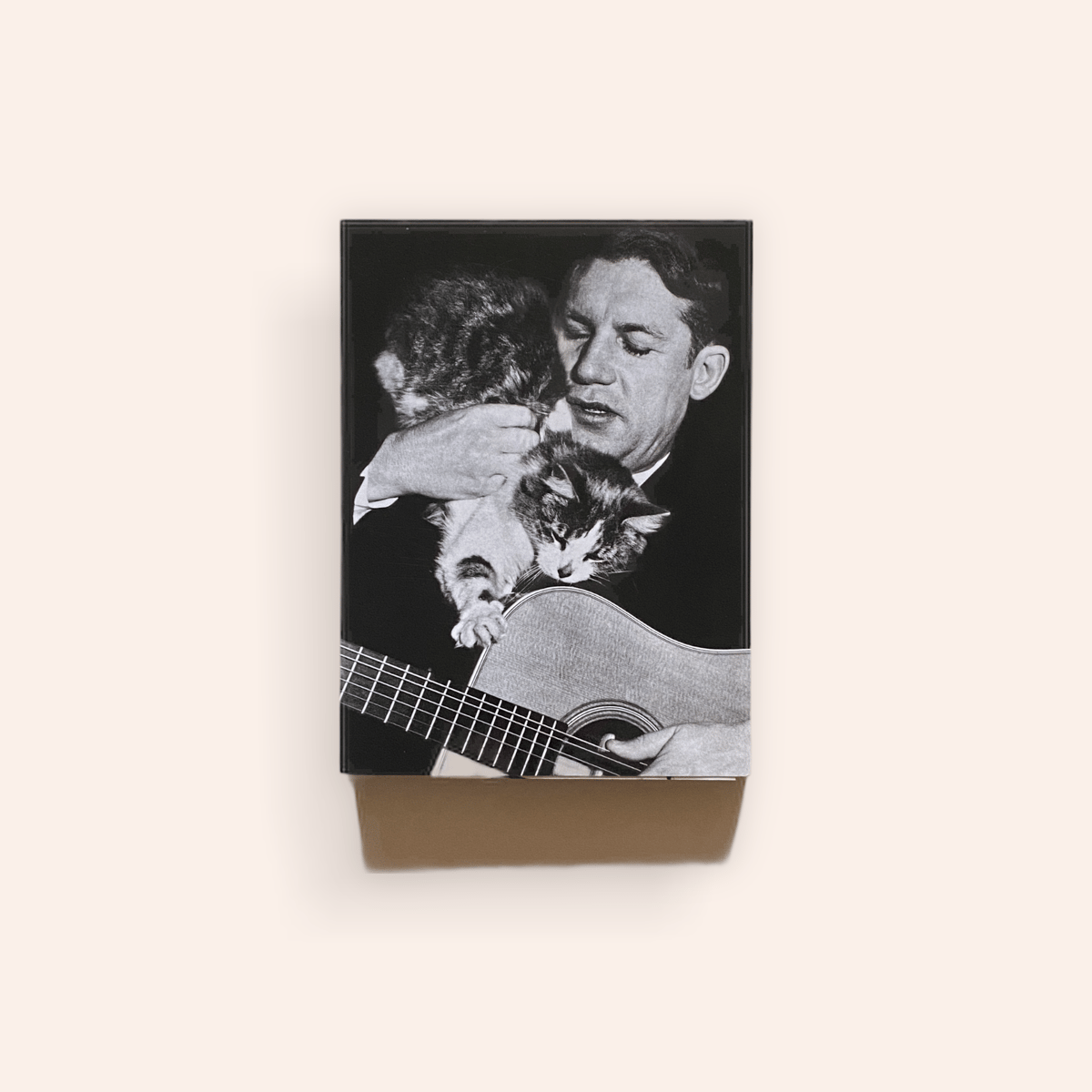 Pet Sounds | BOOKNERD