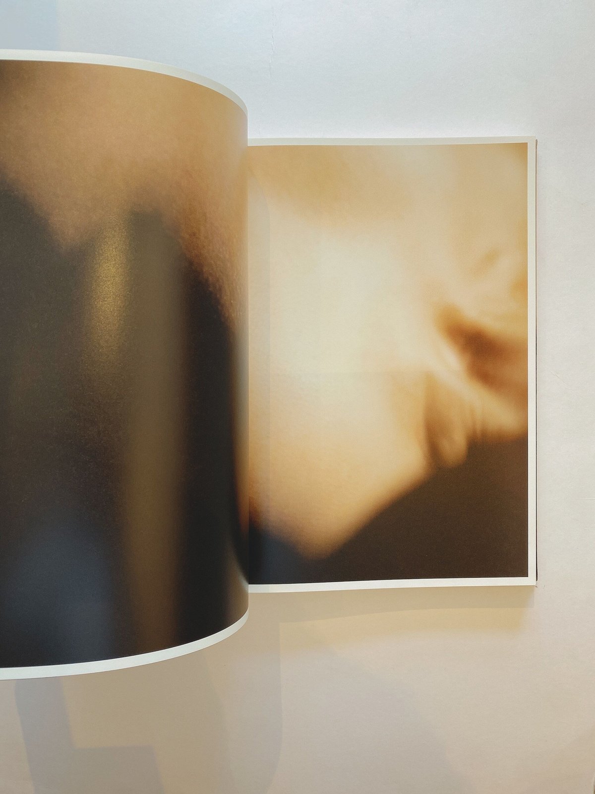 DIGITAL NUDES by David Lynch | BOOKNERD