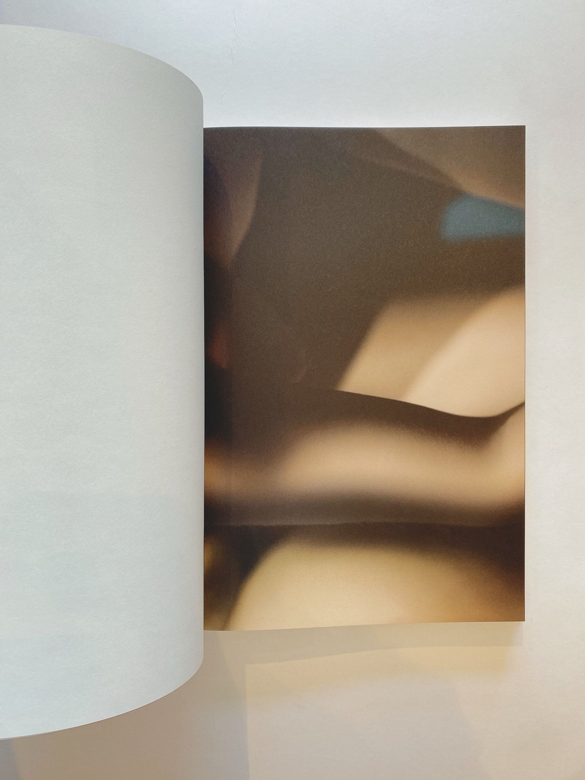 Digital Nudes　David Lynch　デイヴィッド・リンチ Amazon.co.jp: David Lynch, Nudes : 本