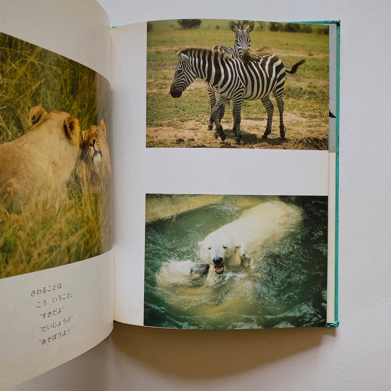 さわってみる | BOOKNERD